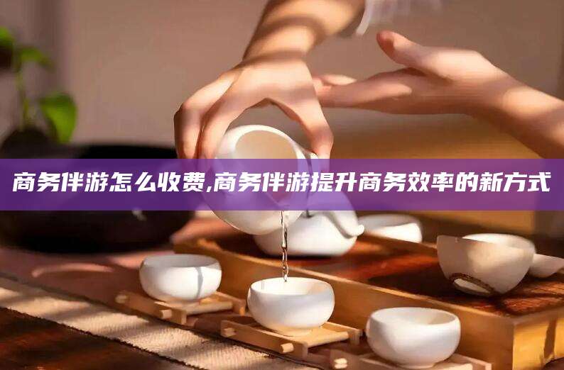 宁国商务伴游怎么收费,商务伴游提升商务效率的新方式